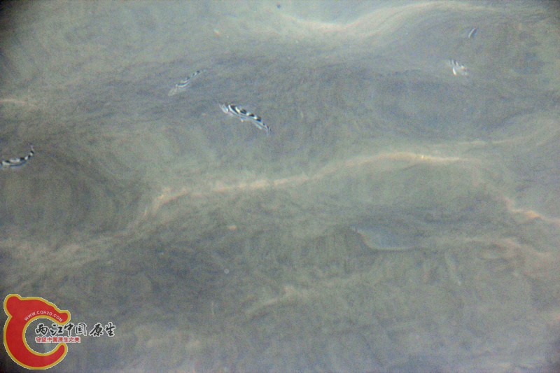 IMG_6971_副本.jpg IMG_6971_副本.jpg