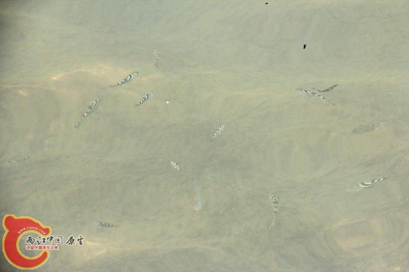 IMG_6972_副本.jpg IMG_6972_副本.jpg