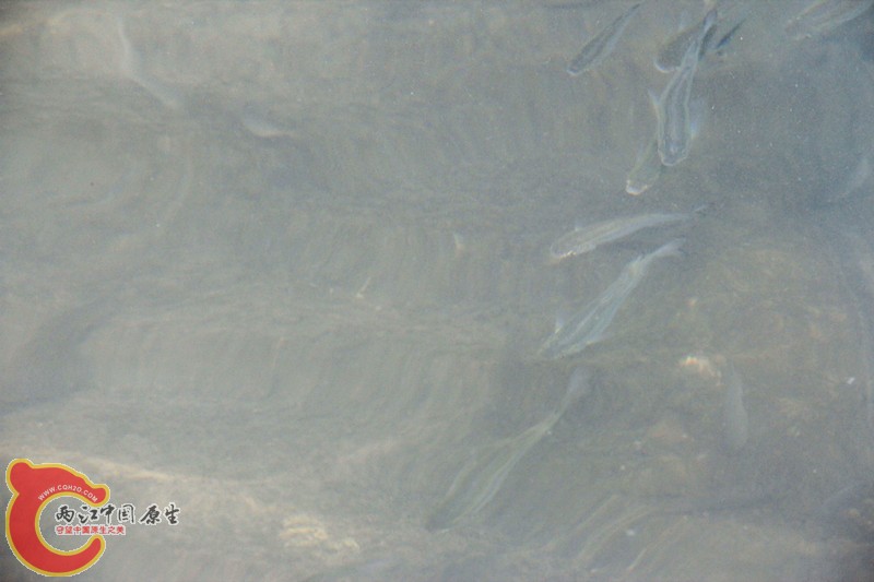 IMG_6974_副本.jpg IMG_6974_副本.jpg