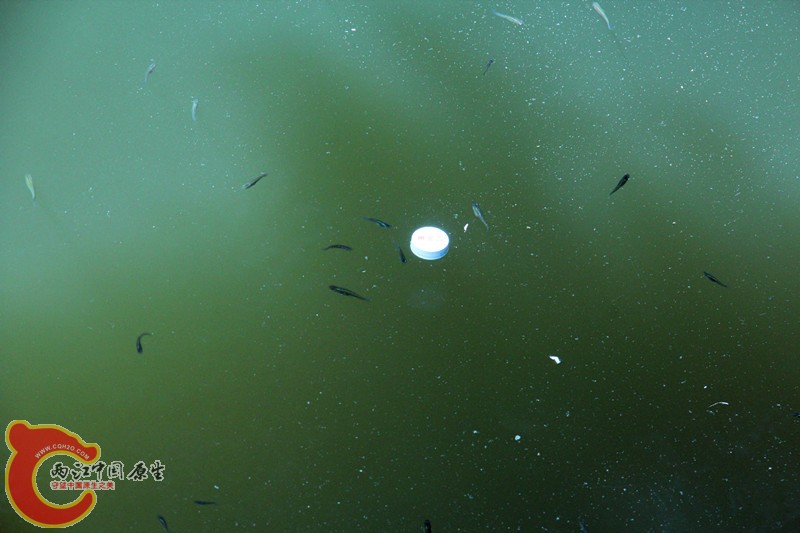 IMG_6990_副本.jpg IMG_6990_副本.jpg