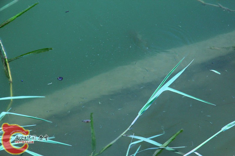 IMG_6996_副本.jpg IMG_6996_副本.jpg