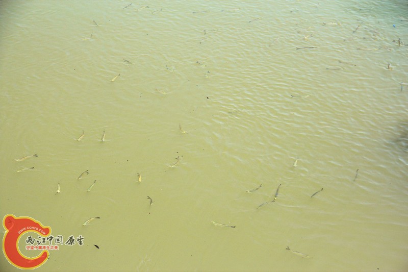 IMG_7010_副本.jpg IMG_7010_副本.jpg