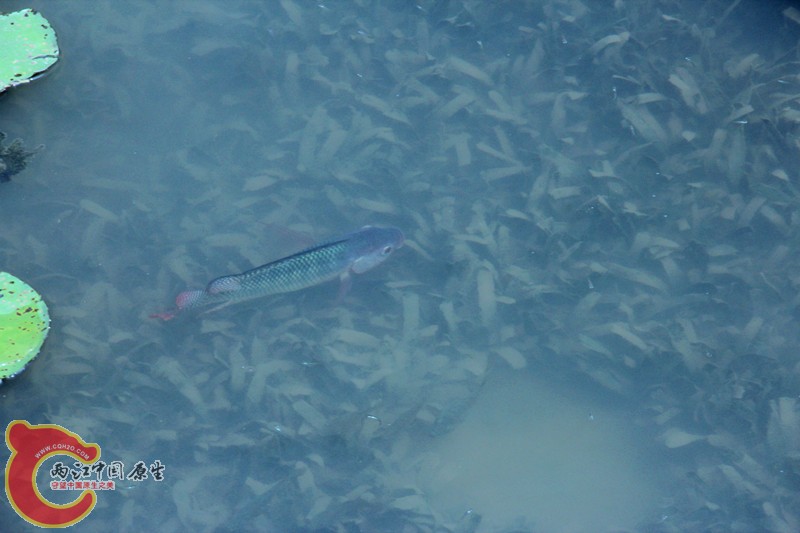 IMG_7016_副本.jpg IMG_7016_副本.jpg