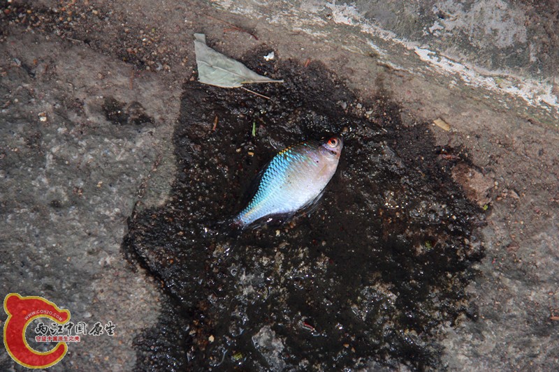 IMG_7048_副本.jpg IMG_7048_副本.jpg