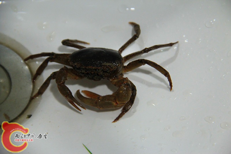 IMG_7072_副本.jpg IMG_7072_副本.jpg