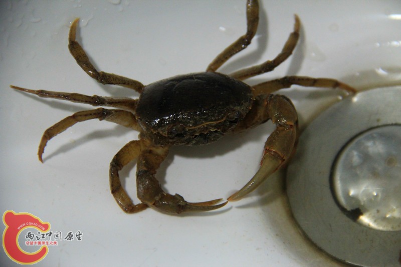 IMG_7073_副本.jpg IMG_7073_副本.jpg