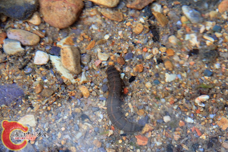 IMG_7074_副本.jpg IMG_7074_副本.jpg