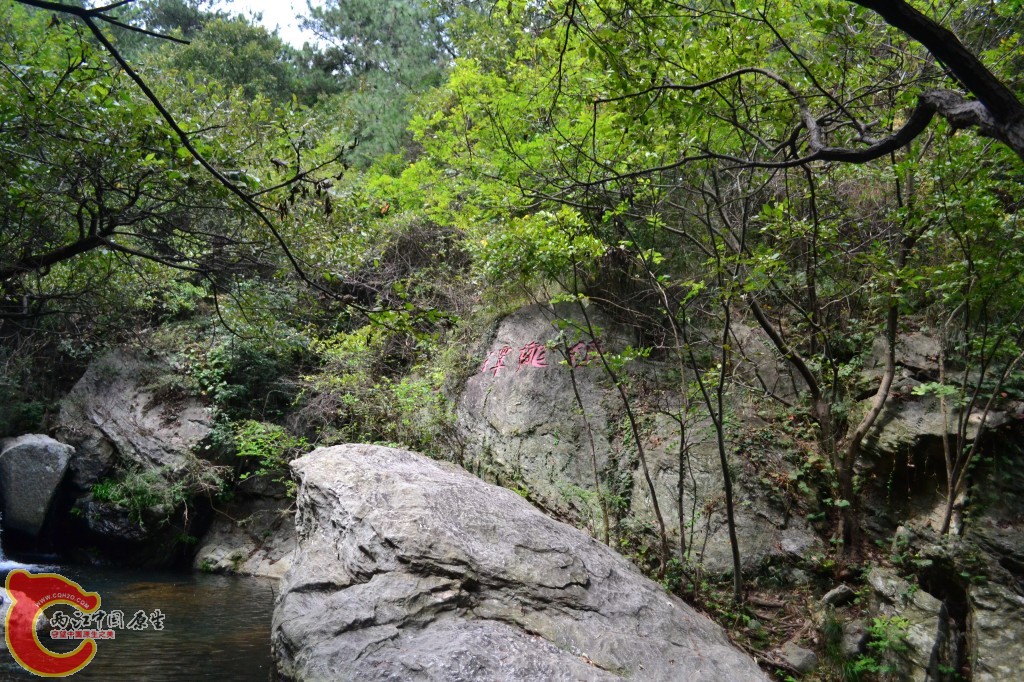 conew_20120903-1797.jpg