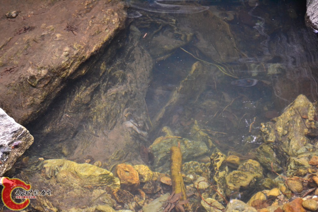 conew_20120903-1906.jpg