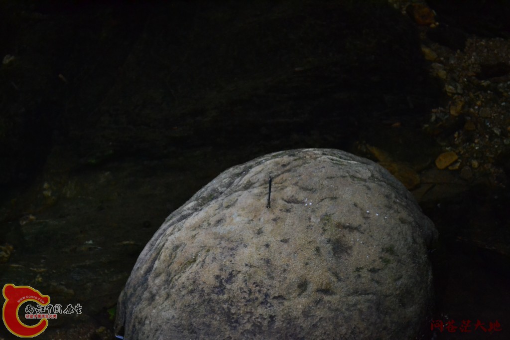 conew_20120903-1789.jpg