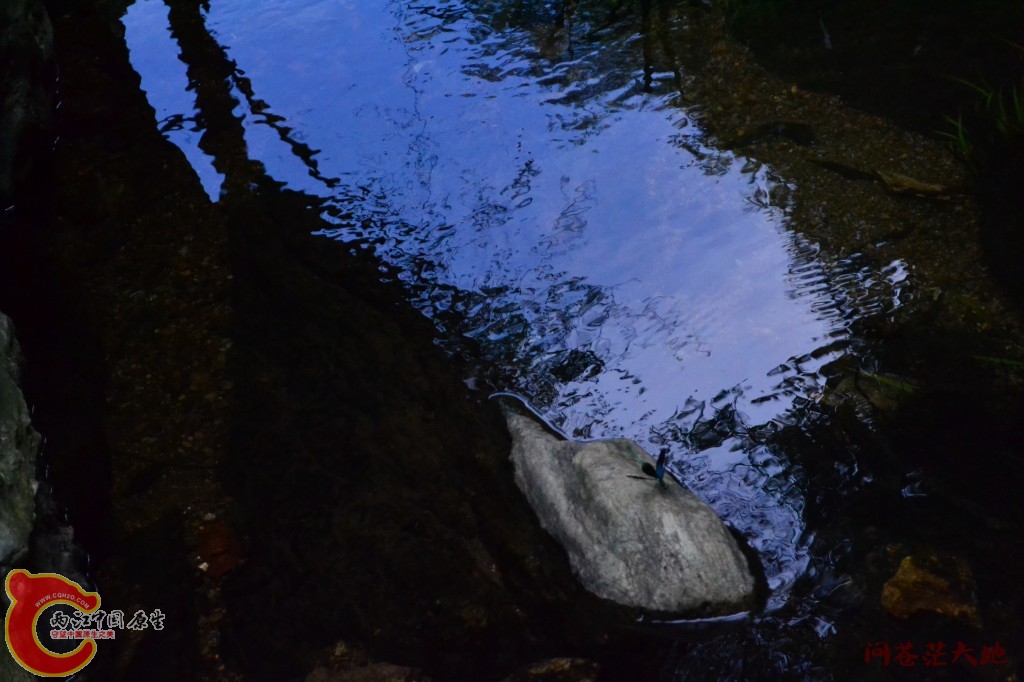 conew_20120903-1792.jpg