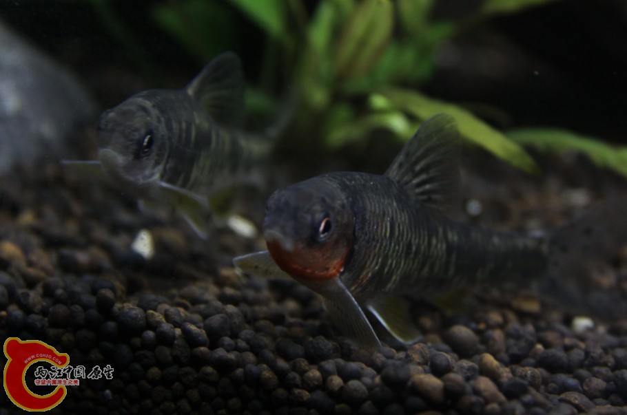 {M`2TEON%[$U~4UMVP(OZ$U.jpg {M`2TEON%[$U~4UMVP(OZ$U.jpg