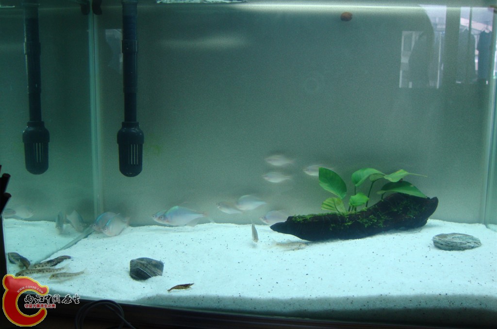 ~%3S%2UP@Q_)0T)TEJH$@II.jpg ~%3S%2UP@Q_)0T)TEJH$@II.jpg