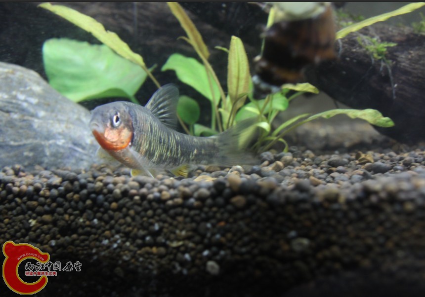 3`BS0~JI[IE%QN$)M%NG}XF.jpg 3`BS0~JI[IE%QN$)M%NG}XF.jpg