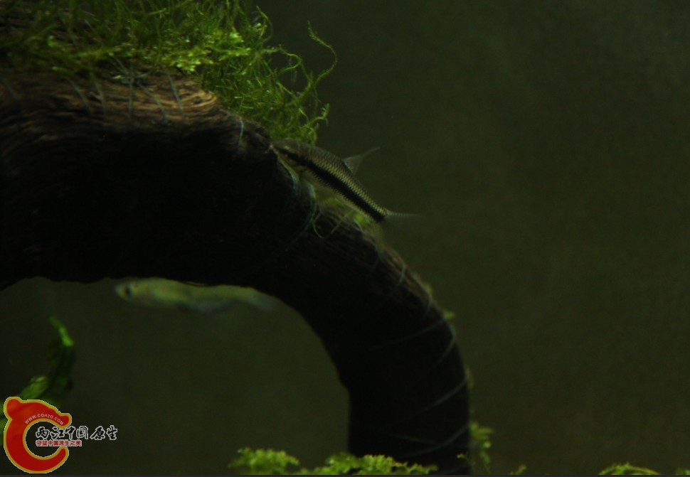 704XTZAH@B17YOG4@MB~%{G.jpg 704XTZAH@B17YOG4@MB~%{G.jpg