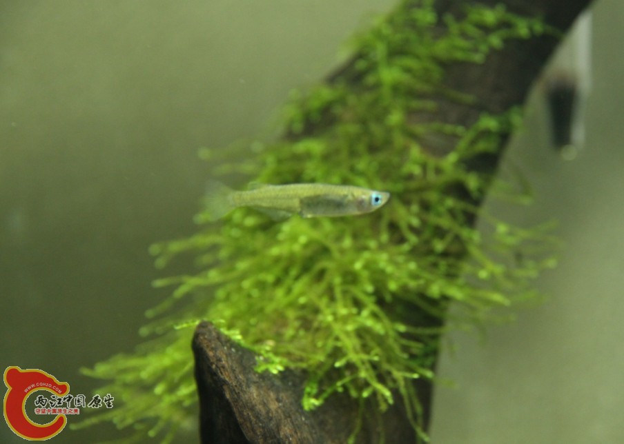 H7B[BR(8IS}S@NM5N~{X871.jpg H7B[BR(8IS}S@NM5N~{X871.jpg