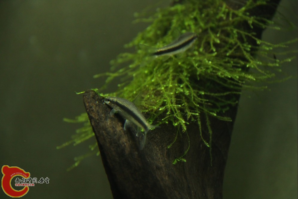 VX2K3}`7SU$JX}MF0}7M80Y.jpg VX2K3}`7SU$JX}MF0}7M80Y.jpg