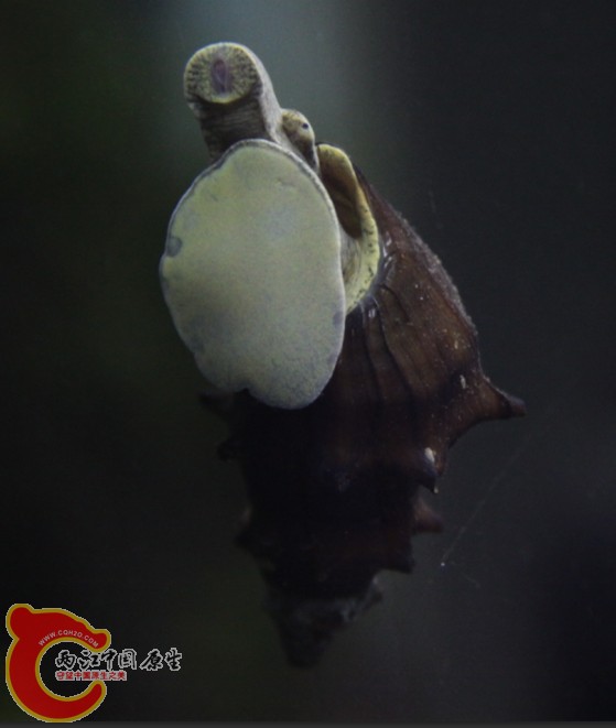 YOJTN_[7%YD97VC`5(E7E.jpg YOJTN_[7%YD97VC`5(E7E.jpg