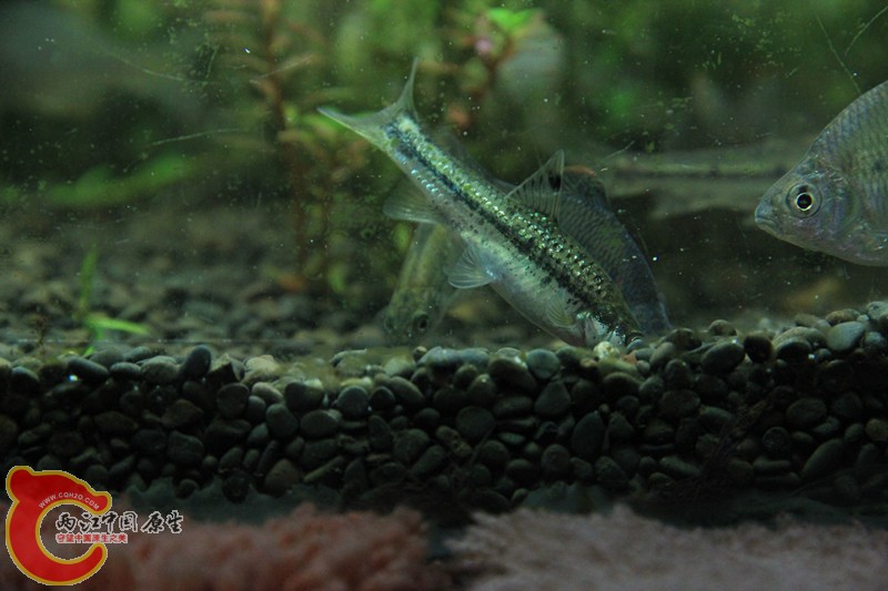 IMG_6140_副本.jpg