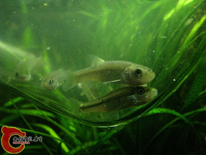 IMG_8854_副本.jpg