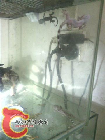 IMG_20120904_194916.jpg