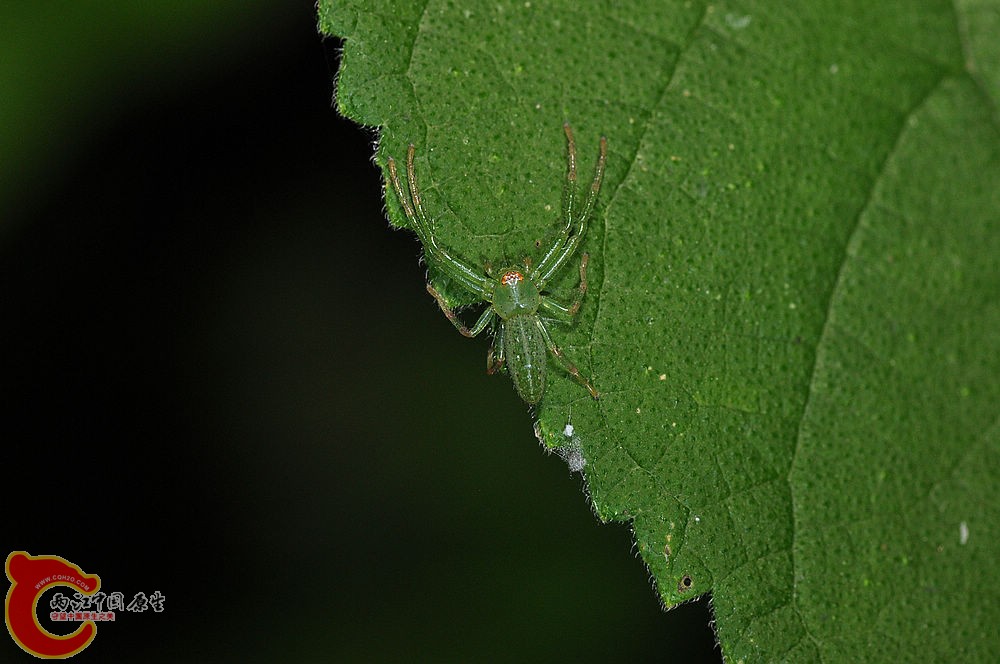 DSC_0031.jpg