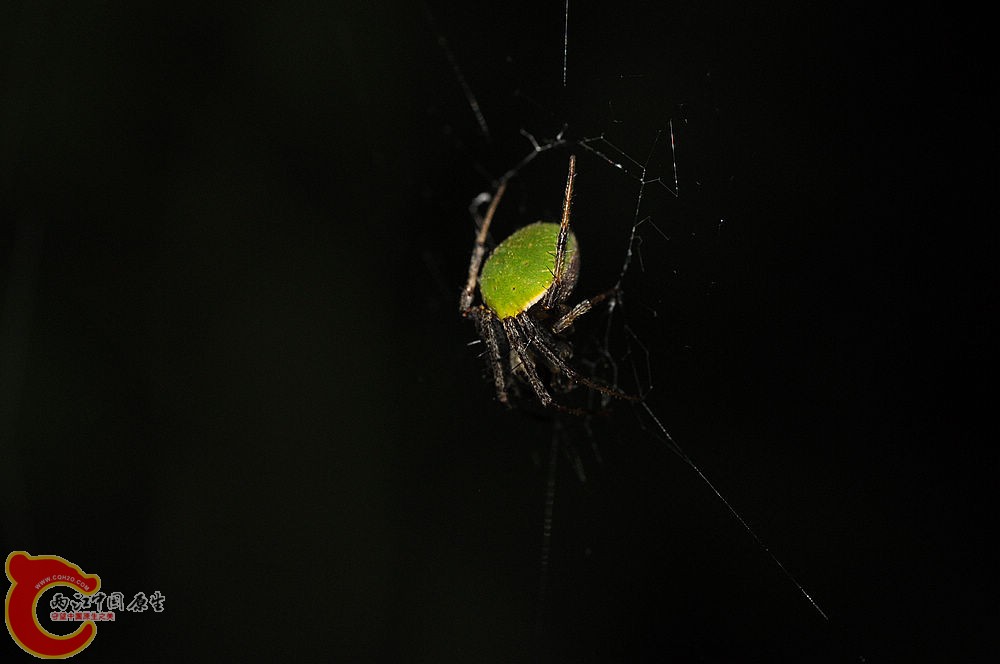 DSC_0056.jpg