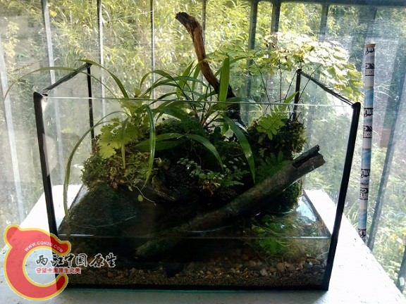 IMG_20120908_162031 (640x480).jpg