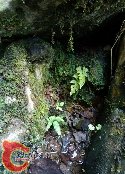 IMG_20120908_141511 (463x640).jpg