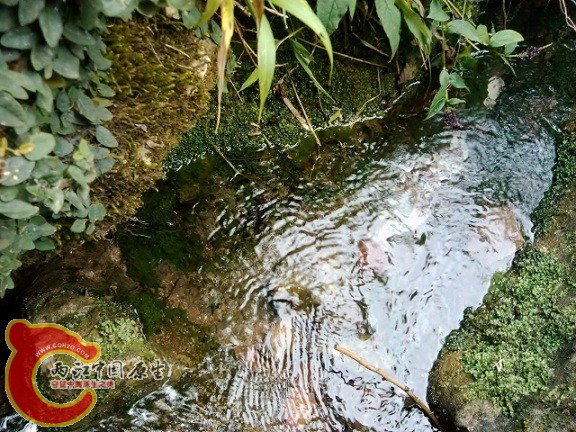 IMG_20120908_141634 (640x480).jpg