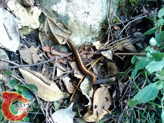 IMG_20120908_141717 (640x480).jpg