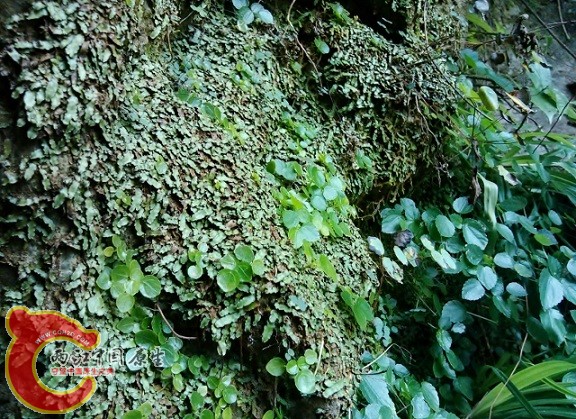 IMG_20120908_141752 (640x465).jpg