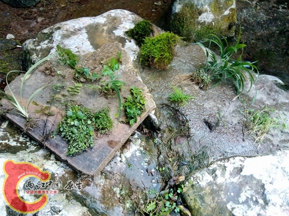 IMG_20120908_144746 (640x479).jpg