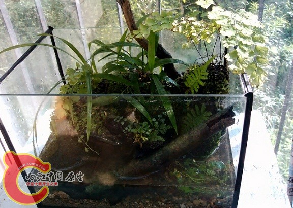 IMG_20120908_161935 (640x455).jpg