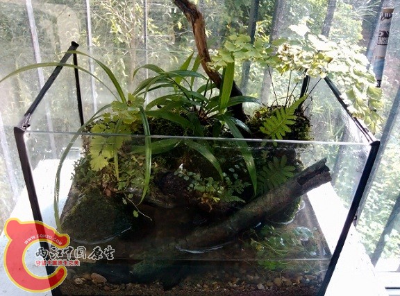 IMG_20120908_162009 (640x474).jpg