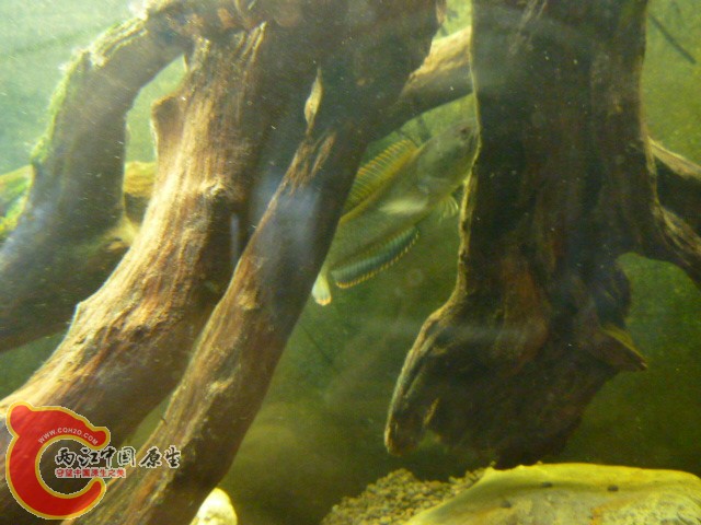P1080032.JPG