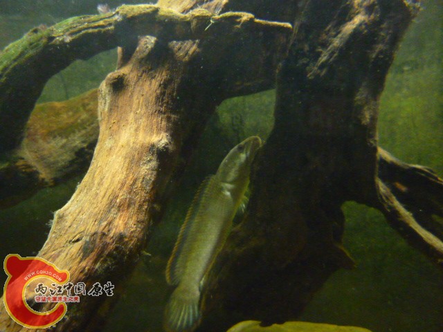 P1080066.JPG