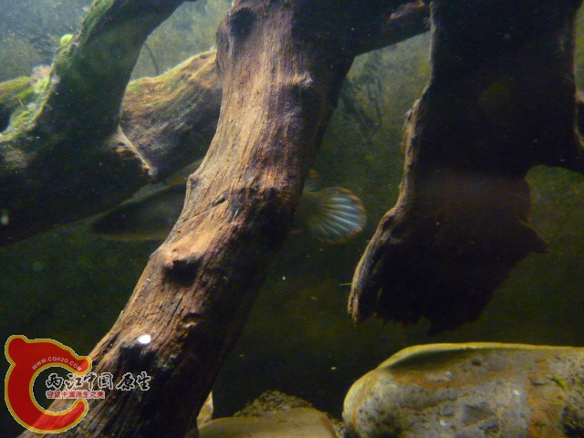 P1080169.JPG
