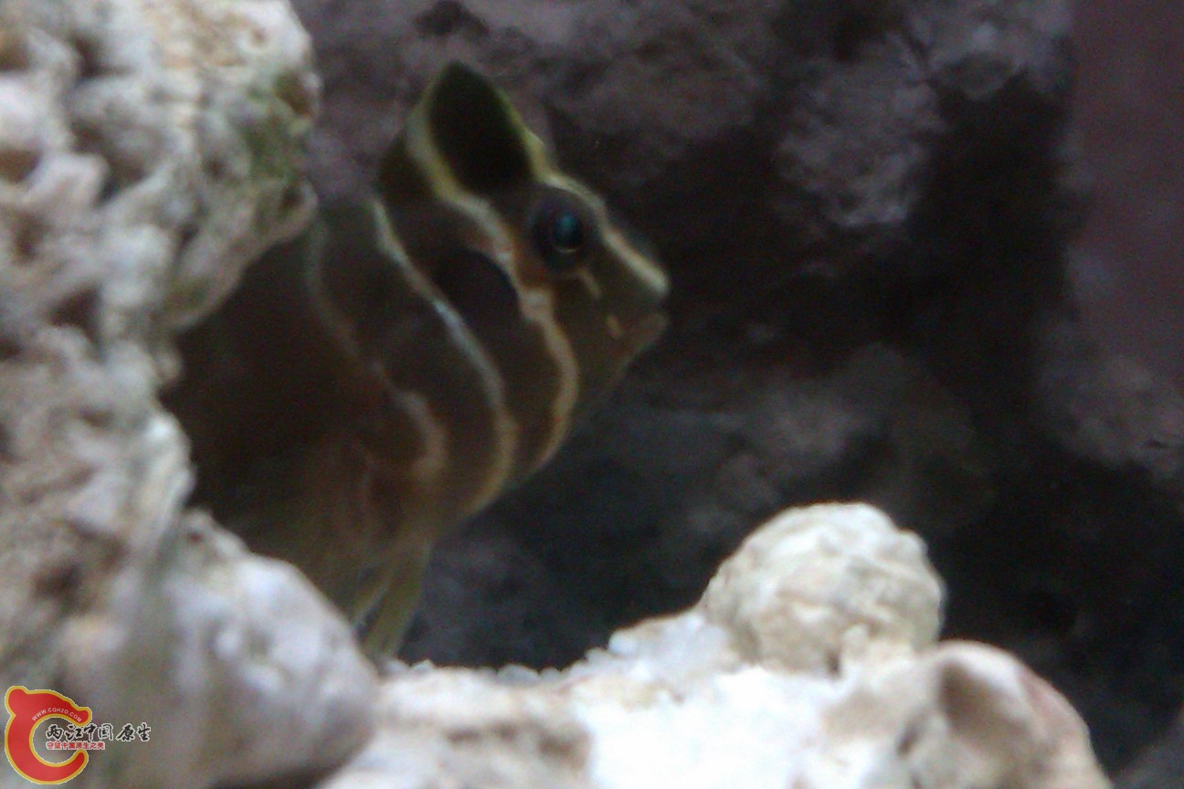 IMAG0495.jpg