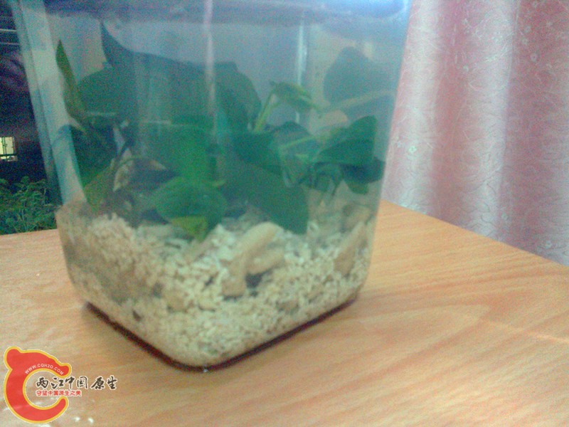 20120908340_副本.jpg