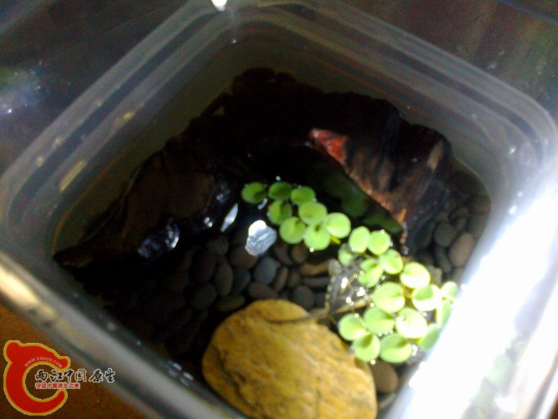 20120908341_副本.jpg