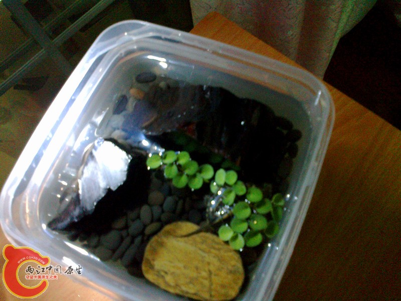20120908342_副本.jpg
