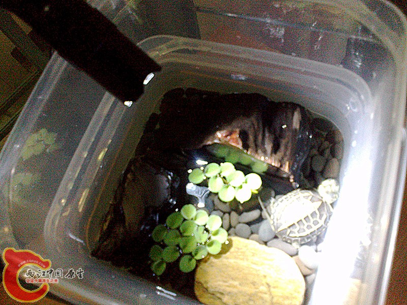 20120908343_副本.jpg