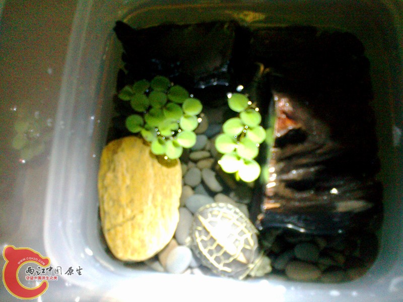 20120908344_副本.jpg
