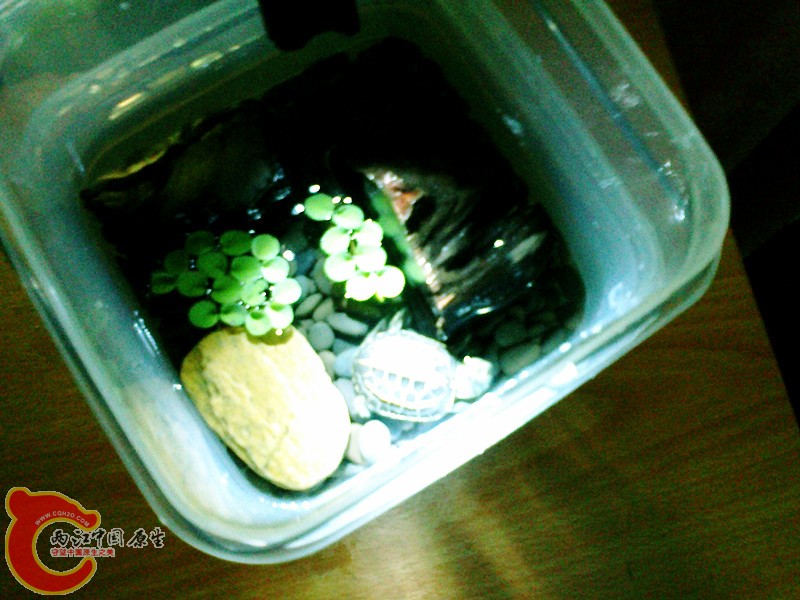 20120908345_副本.jpg