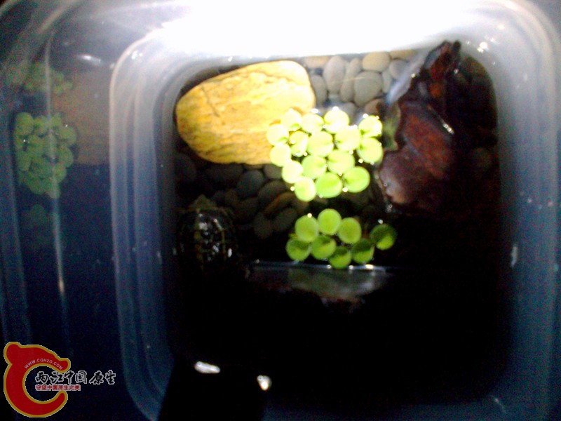 20120908346_副本.jpg