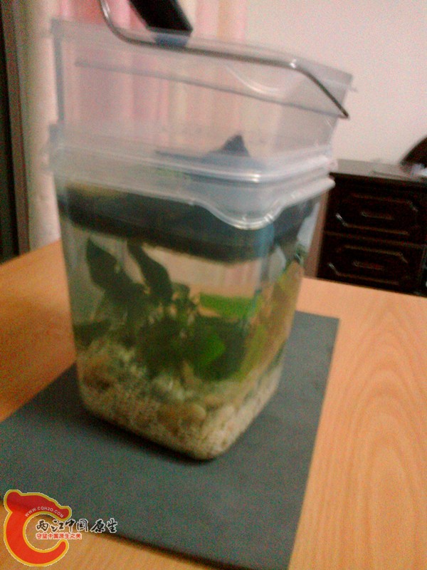 20120908347_副本.jpg