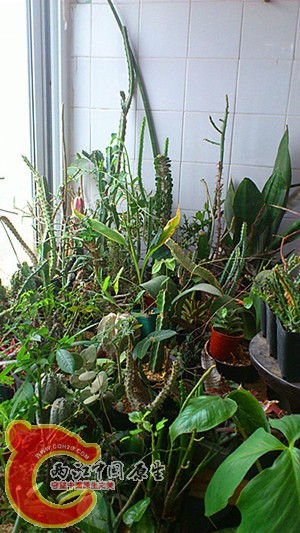 2001217ggr7jwww7famf0g.jpg