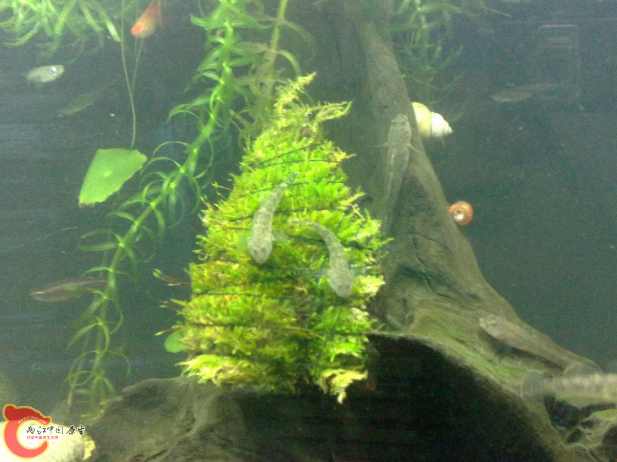 201209126617 .jpg