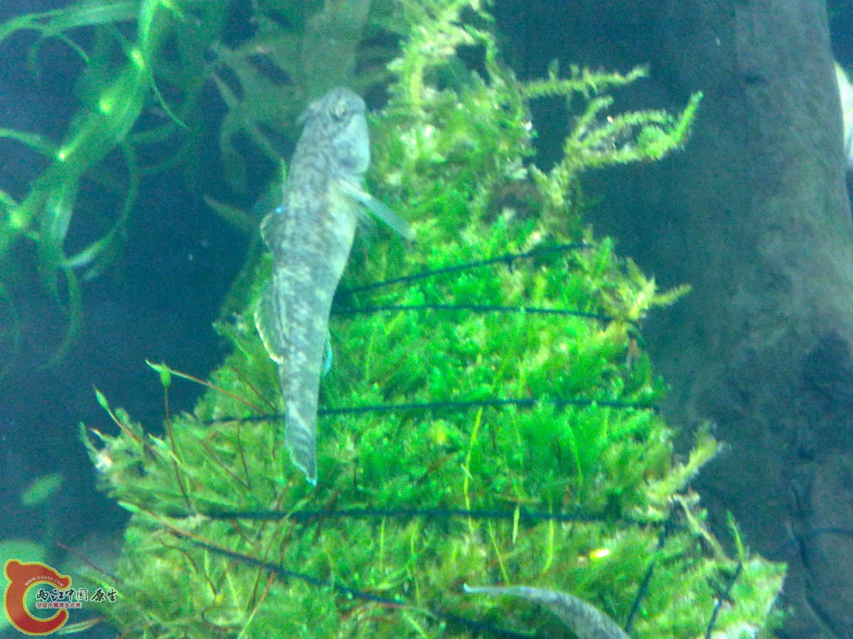 201209126615 .jpg